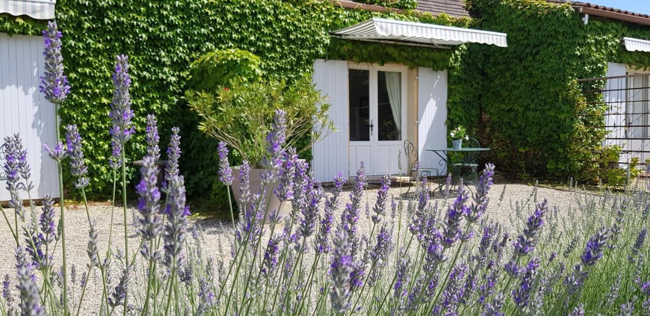 Le Clos-Lascazes Maison D'Hotes Le Buisson-de-Cadouin 외부 사진